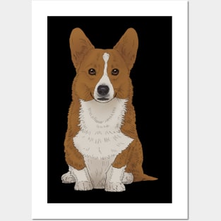 Pembroke Welsh Corgi Dog Posters and Art